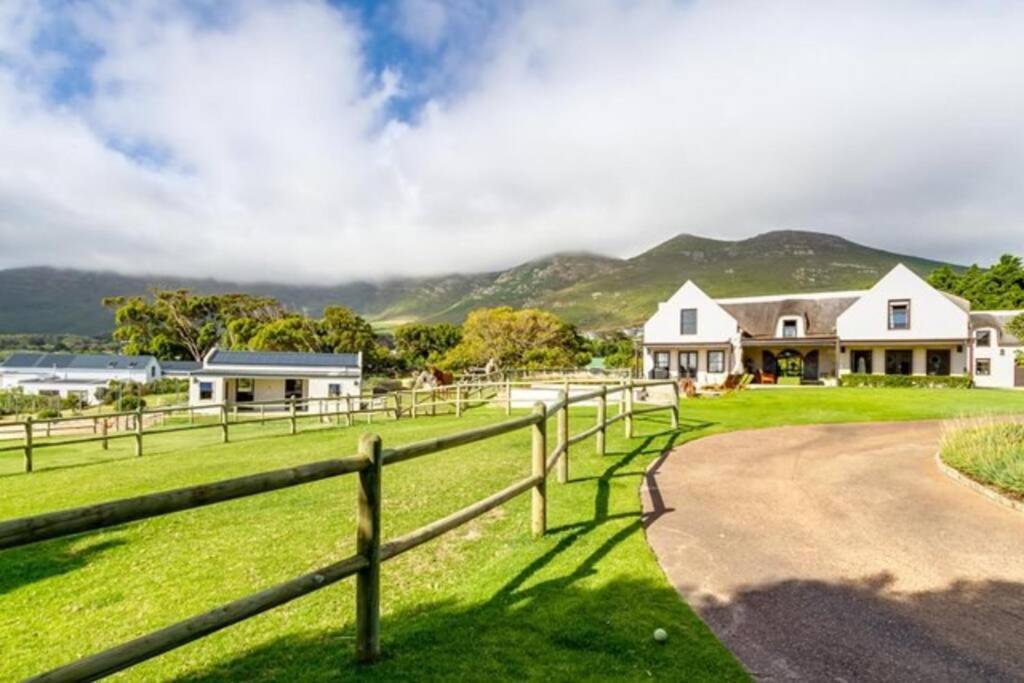 Serene, Thatched Apartment In Noordhoek, Cape Town Dış mekan fotoğraf