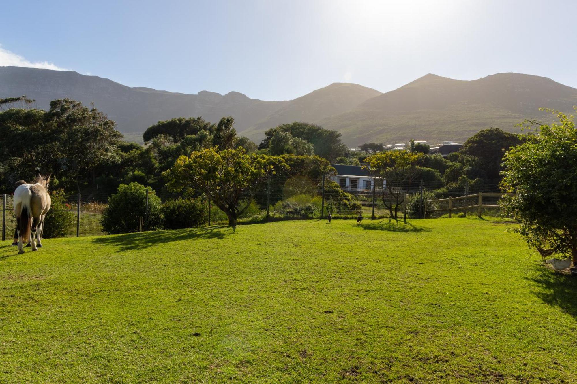 Serene, Thatched Apartment In Noordhoek, Cape Town Dış mekan fotoğraf